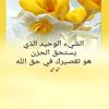 user510128451749