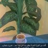 uillp_7