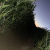 kolemartin8