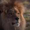 mhamadxasro