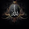 amarkhil041