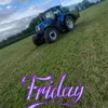 daire_golden09