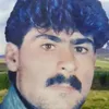 lwqmandolashy