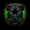 wil1781_l