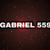 gabriel559559