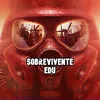 sobreviventeedu