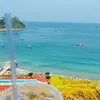 phantrinhan31