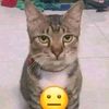 vinz_691