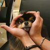 mary_df07