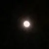 pppppll11