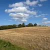 walkingguy1