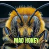 madhoney_1111