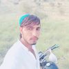 saleem_afridii