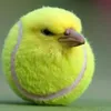 userr0q8lz0di6