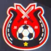 sheffield_citys_fc