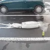 12buck30centimeter