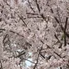 .marie043