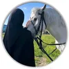 sehamsehamm578