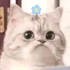 taehyungarmy581