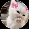 just.her.mirabelle