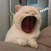 melinjra_
