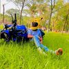 mdsumonsarder10