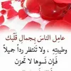 rafalhaider517