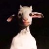 one.eyed.scapegoat