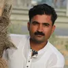 jawedkhan6015
