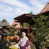 hajarharun21