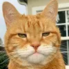 heeeeeeeeeeeeeeeeee_