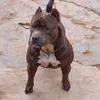 carlosomarpache77