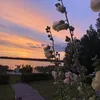 alicemoller79
