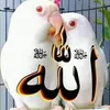 ansaransarbhatt16