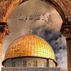abeer238405021