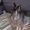 mr_zeus8