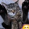 catchysmom
