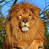 layth_kh07