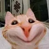 hi5556566