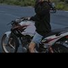 tiger_cidro002