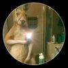ositoteddy2000