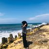 sy1faull_