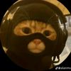 pecinta_kucing.12_06
