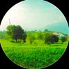 nadanzargy121