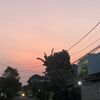 cimomomoy_