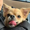 userb99tybp0wh