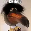 dyi3u869fjzo