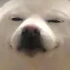 tuwbanh