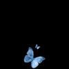 callingbeby