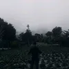 iiiivvv02